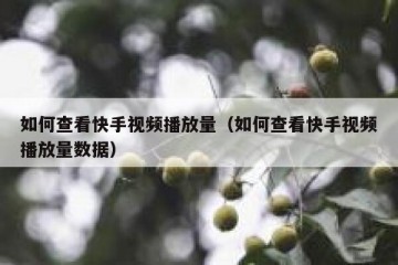 如何查看快手视频播放量（如何查看快手视频播放量数据）