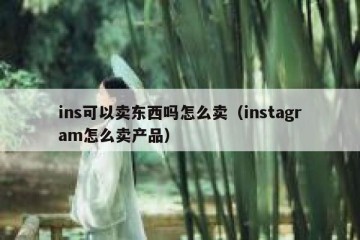 ins可以卖东西吗怎么卖（instagram怎么卖产品）