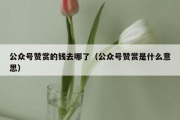 公众号赞赏的钱去哪了（公众号赞赏是什么意思）