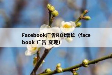 Facebook广告ROI增长（facebook 广告 变现）