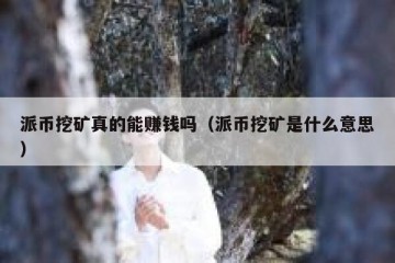 派币挖矿真的能赚钱吗（派币挖矿是什么意思）
