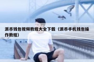 派币钱包视频教程大全下载（派币手机钱包操作教程）