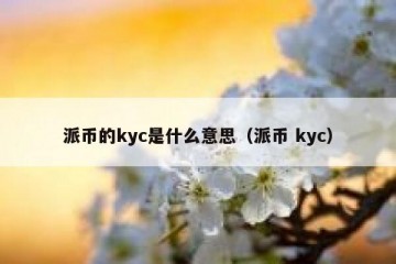 派币的kyc是什么意思（派币 kyc）