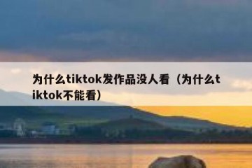 为什么tiktok发作品没人看（为什么tiktok不能看）