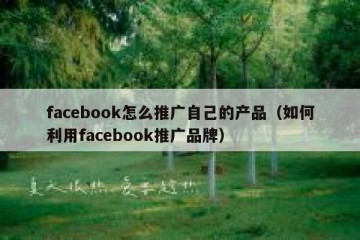 facebook怎么推广自己的产品（如何利用facebook推广品牌）