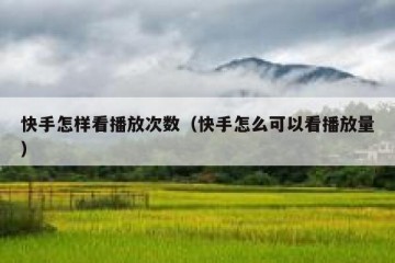 快手怎样看播放次数（快手怎么可以看播放量）