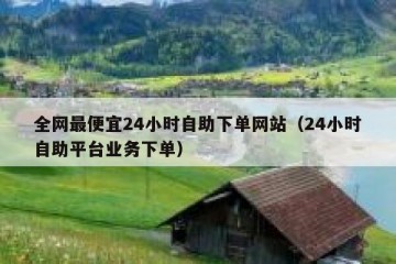 全网最便宜24小时自助下单网站（24小时自助平台业务下单）