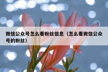 微信公众号怎么看粉丝信息（怎么看微信公众号的粉丝）