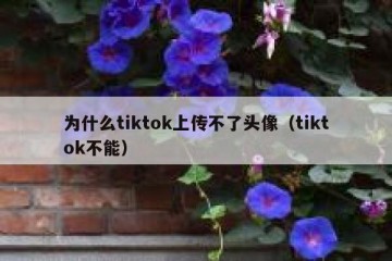 为什么tiktok上传不了头像（tiktok不能）