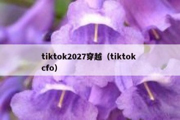 tiktok2027穿越（tiktok cfo）