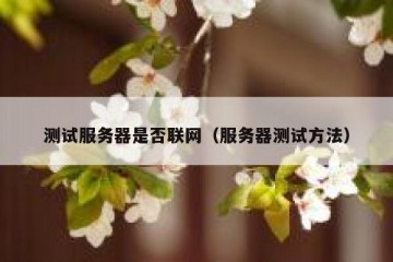 测试服务器是否联网（服务器测试方法）