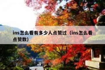 ins怎么看有多少人点赞过（ins怎么看点赞数）