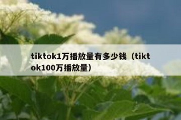 tiktok1万播放量有多少钱（tiktok100万播放量）