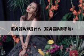 服务器防御是什么（服务器防御系统）