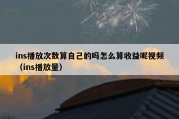 ins播放次数算自己的吗怎么算收益呢视频（ins播放量）
