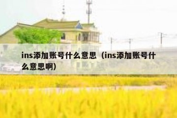 ins添加账号什么意思（ins添加账号什么意思啊）