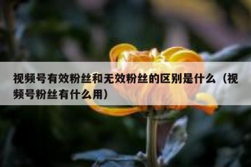 视频号有效粉丝和无效粉丝的区别是什么（视频号粉丝有什么用）