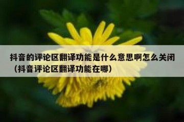 抖音的评论区翻译功能是什么意思啊怎么关闭（抖音评论区翻译功能在哪）