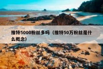 推特5000粉丝多吗（推特50万粉丝是什么概念）
