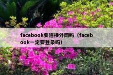 facebook要连接外网吗（facebook一定要登录吗）