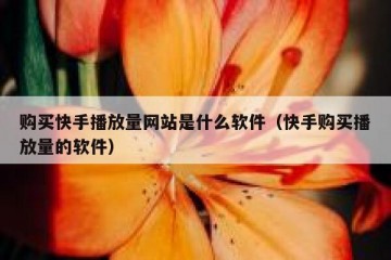 购买快手播放量网站是什么软件（快手购买播放量的软件）