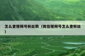 怎么查视频号粉丝数（微信视频号怎么查粉丝）