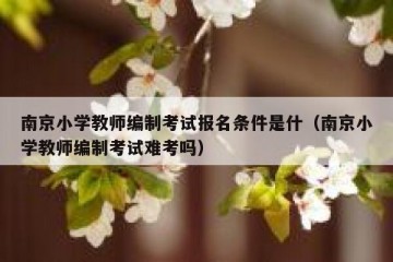南京小学教师编制考试报名条件是什（南京小学教师编制考试难考吗）