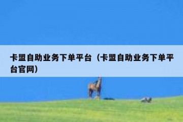 卡盟自助业务下单平台（卡盟自助业务下单平台官网）
