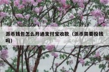 派币钱包怎么开通支付宝收款（派币需要投钱吗）