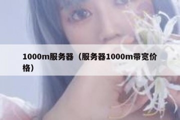 1000m服务器（服务器1000m带宽价格）