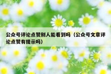 公众号评论点赞别人能看到吗（公众号文章评论点赞有提示吗）