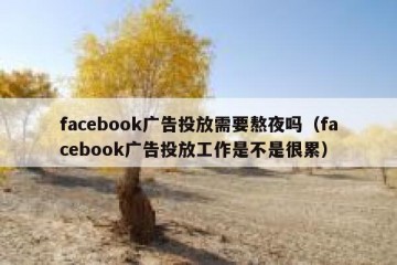 facebook广告投放需要熬夜吗（facebook广告投放工作是不是很累）