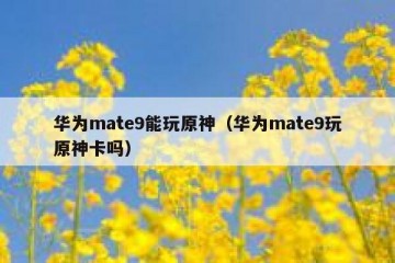 华为mate9能玩原神（华为mate9玩原神卡吗）
