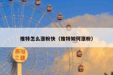 推特怎么涨粉快（推特如何涨粉）