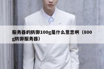 服务器的防御100g是什么意思啊（800g防御服务器）