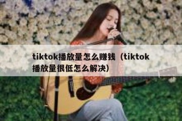 tiktok播放量怎么赚钱（tiktok播放量很低怎么解决）