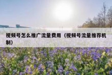 视频号怎么推广流量费用（视频号流量推荐机制）