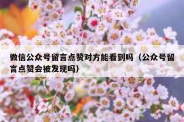 微信公众号留言点赞对方能看到吗（公众号留言点赞会被发现吗）