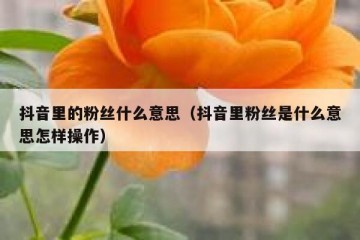 抖音里的粉丝什么意思（抖音里粉丝是什么意思怎样操作）
