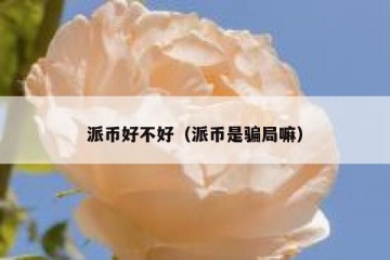 派币好不好（派币是骗局嘛）