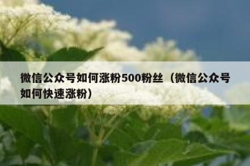 微信公众号如何涨粉500粉丝（微信公众号如何快速涨粉）