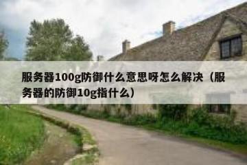 服务器100g防御什么意思呀怎么解决（服务器的防御10g指什么）