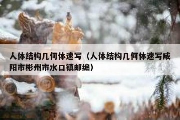 人体结构几何体速写（人体结构几何体速写咸阳市彬州市水口镇邮编）