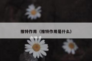 推特作用（推特作用是什么）