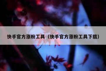 快手官方涨粉工具（快手官方涨粉工具下载）