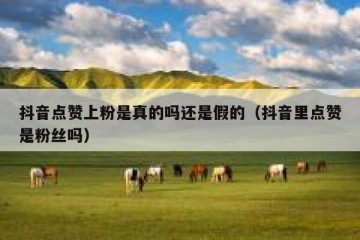 抖音点赞上粉是真的吗还是假的（抖音里点赞是粉丝吗）