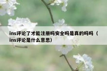 ins评论了才能注册吗安全吗是真的吗吗（ins评论是什么意思）
