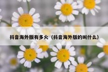 抖音海外版有多火（抖音海外版的叫什么）
