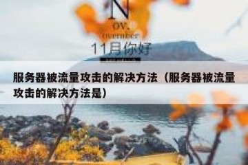 服务器被流量攻击的解决方法（服务器被流量攻击的解决方法是）