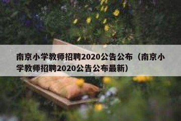 南京小学教师招聘2020公告公布（南京小学教师招聘2020公告公布最新）